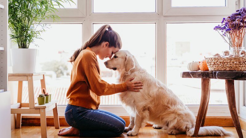 woman and dog at home