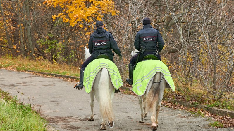 mounted police officer chasing suspect