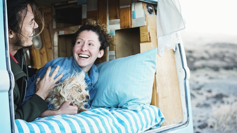 animals living in camper van