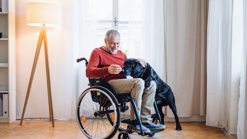 man with dementia and assistance dog