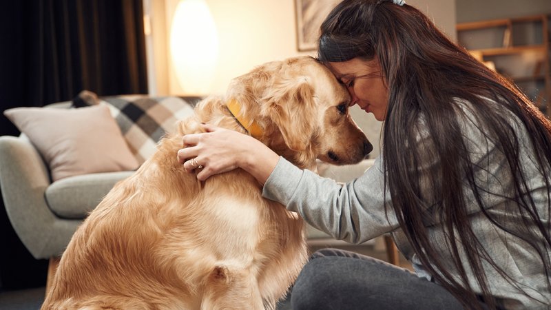 dog showing affection
