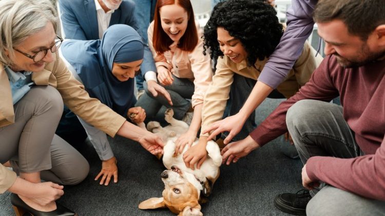volunteers rescuing dog