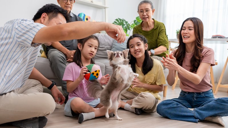 family pets together