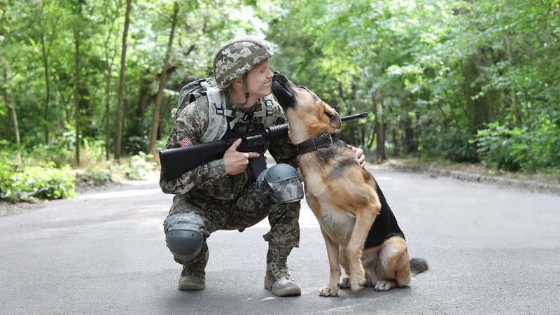 dog receiving honor guard