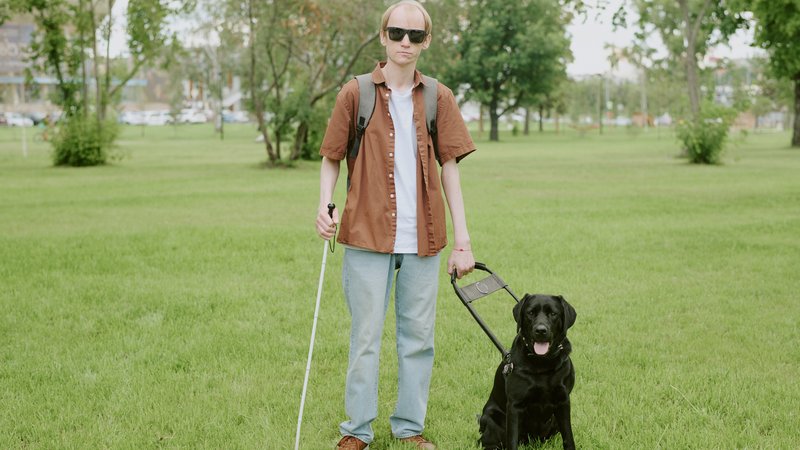 guide dog with visually impaired person