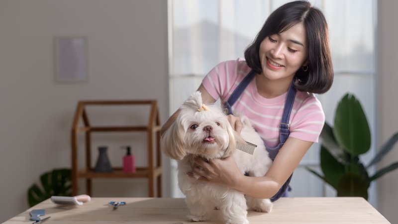 dog owner caring for pet