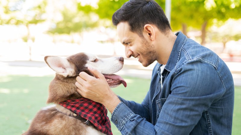 owner bonding with dog