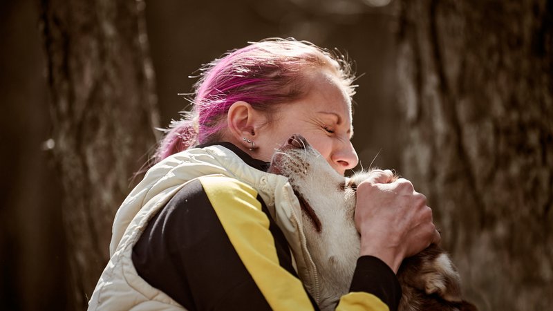 emotional dog with owner photo