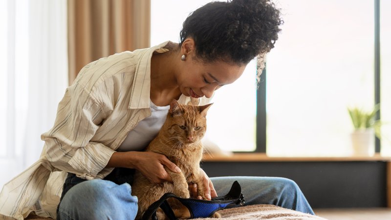 woman caring for cat