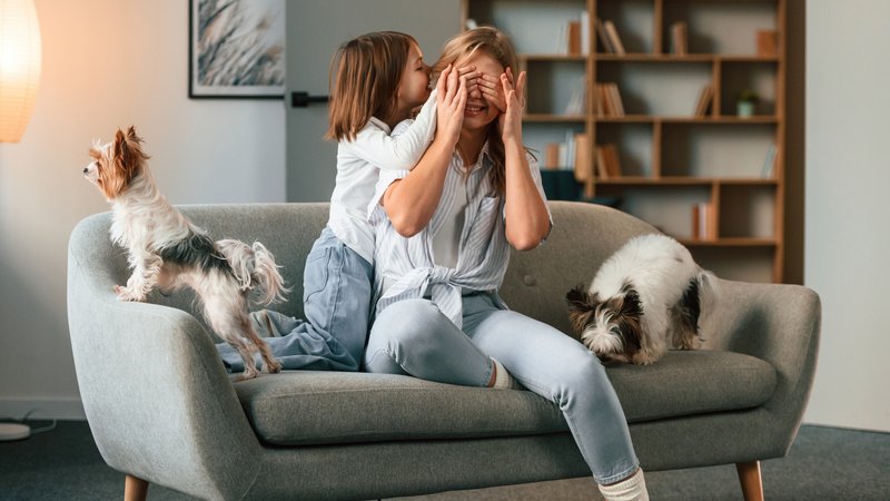 emotional reunion pet owner