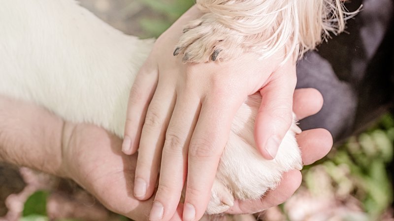 dog mourning loss