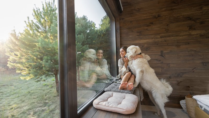 family watching dog through window