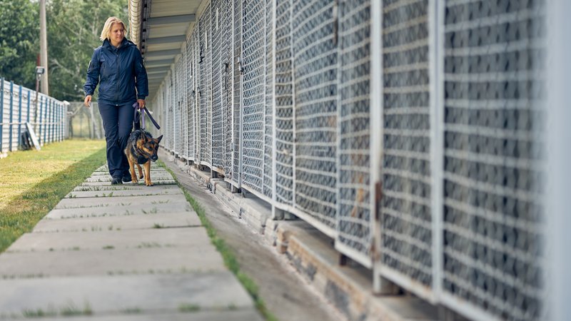 community animal shelter exterior