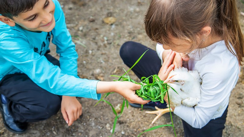 children learning about animals outdoors
