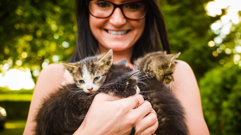 woman saving abandoned kittens