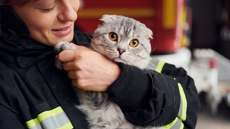 woman rescuing cat
