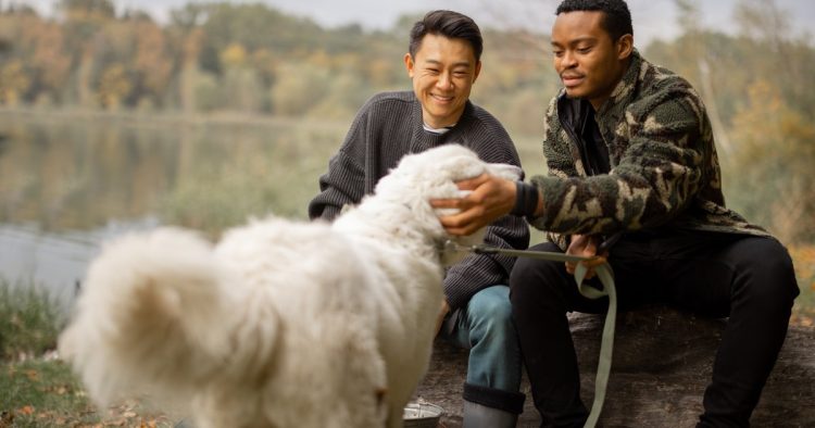 lost dog reunion