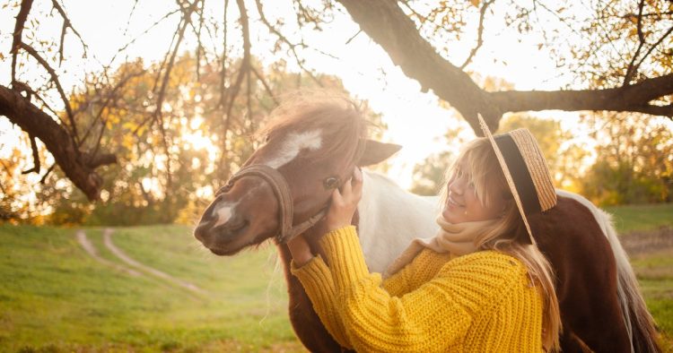 rescue miniature horse