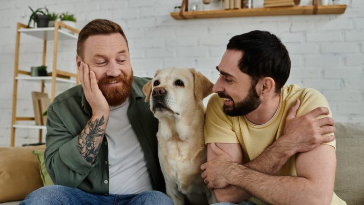 emotional reunion with dog