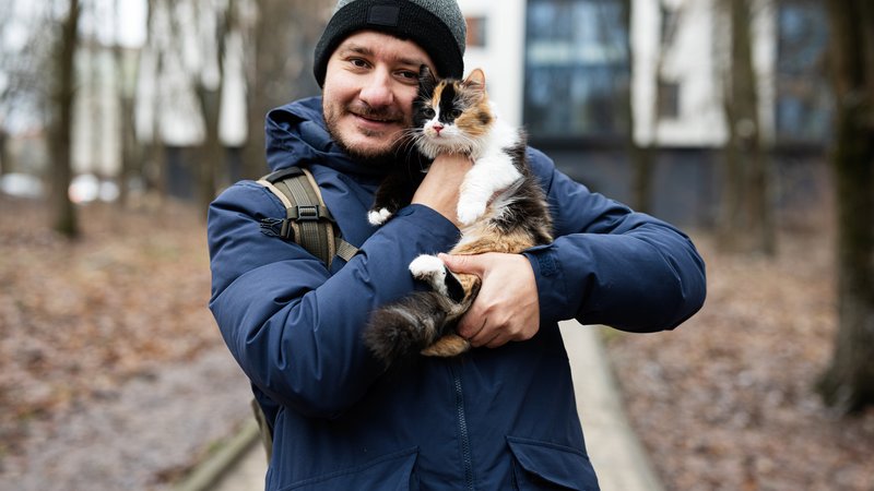 man rescuing kitten on highway