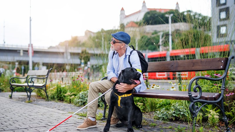 veteran with service dog