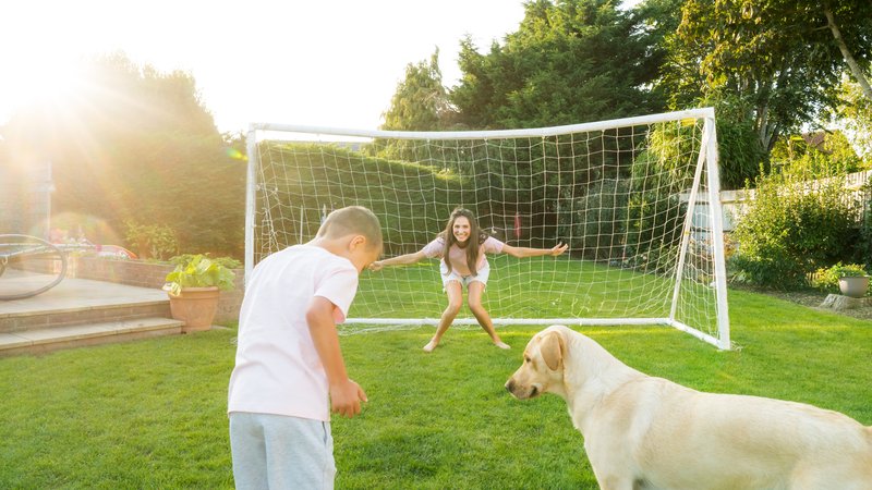 child training soccer with dogs