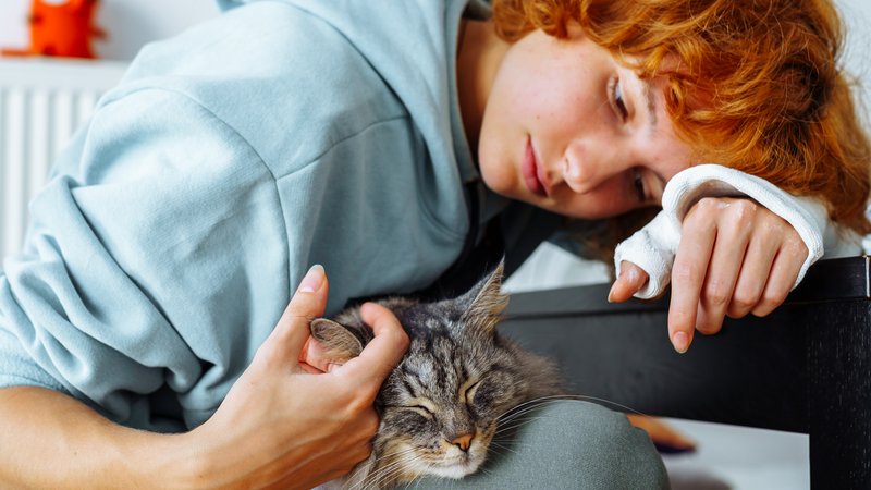 cat owner comforting cat