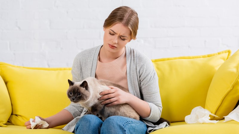 cat sick at home