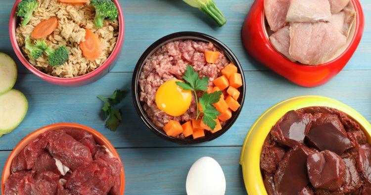 homemade cat food
