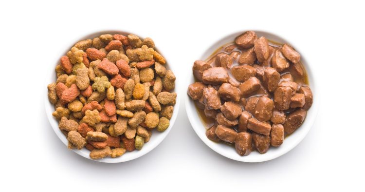cat food dry wet