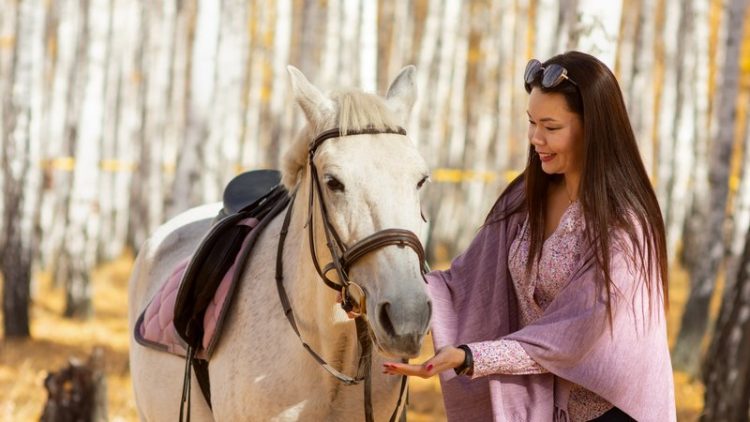 horse relaxing listening to music