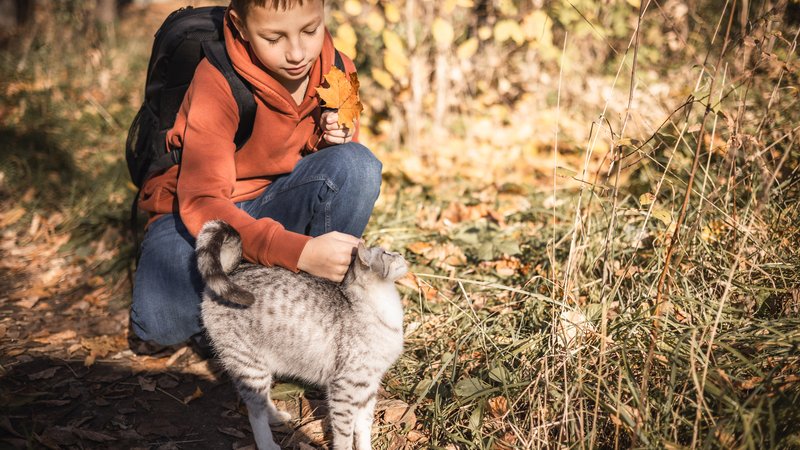 boy rescuing injured wild animal