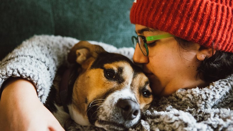 dog and human cuddling