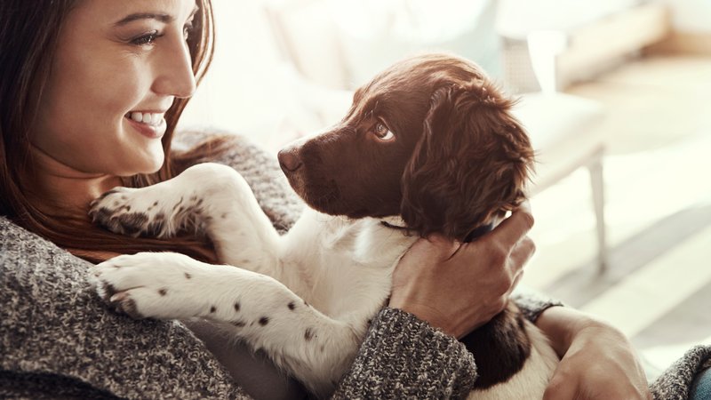 woman rescuing puppy