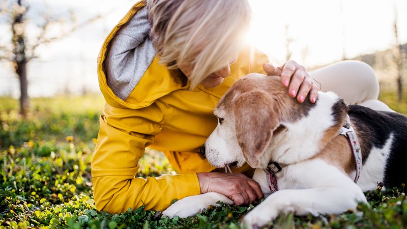 woman caring dog