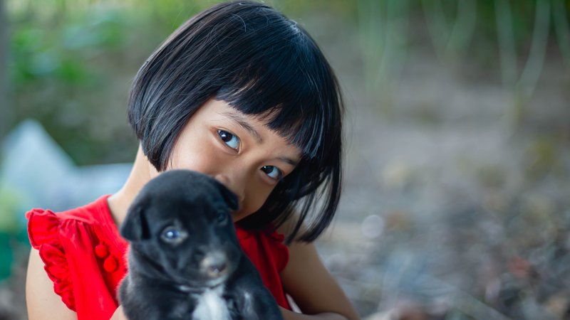 child saving puppy