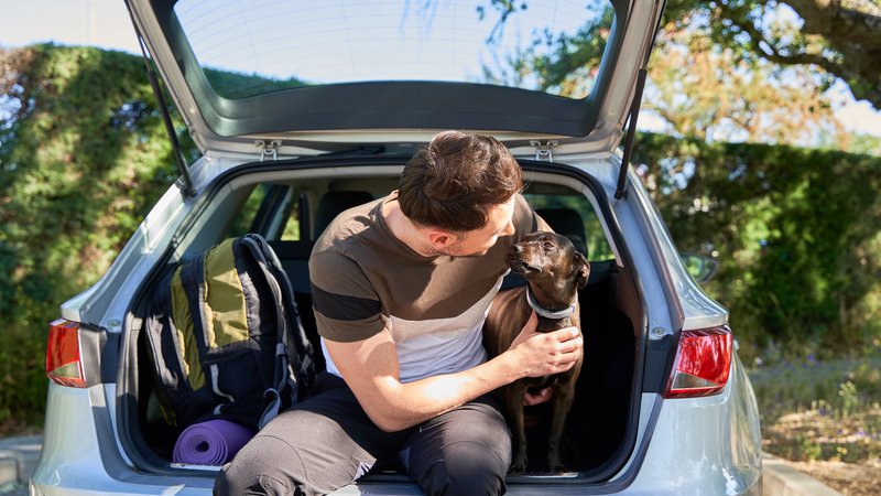 pet owner checking dog in parked car