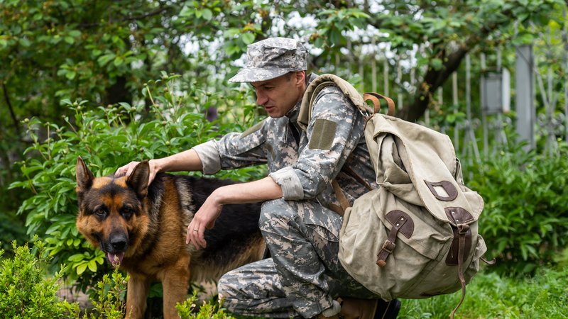 military veteran with service dog