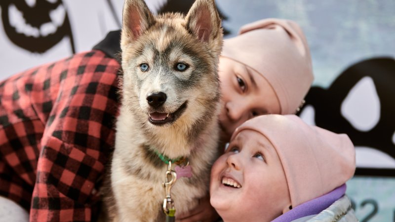 dog adoption event