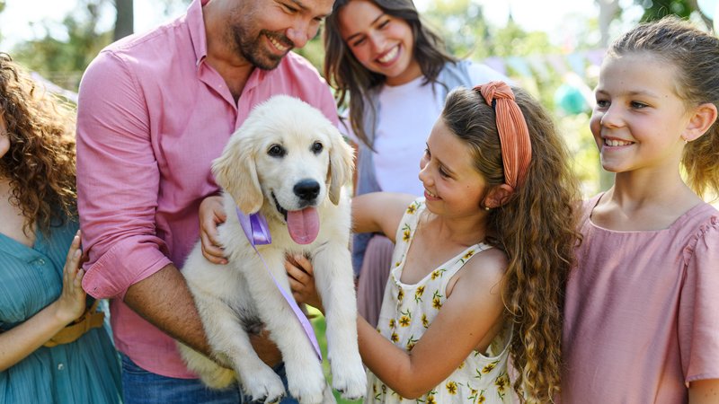 dog adoption family