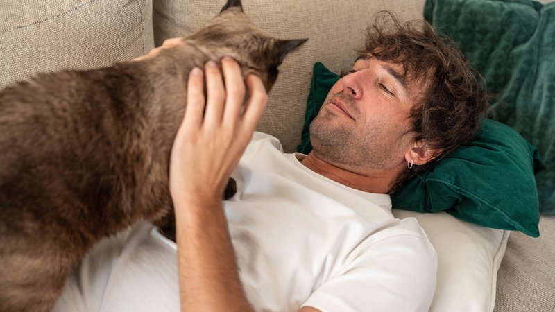 cat owner calming cat