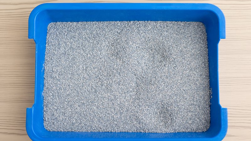 clean cat litter tray